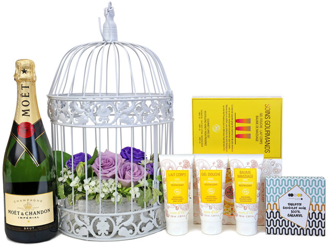 Wine n Food Hamper - Birdcage design gift hamper B2 - TNP0410A7 Photo